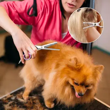 מחשבים נירוסטה הכלבים לחיות מחמד טיפוח מספריים חתול שיער דליל גזירה קצוות חדים הכלב חיתוך חתלתול חיות מספרה כלי חיתוך